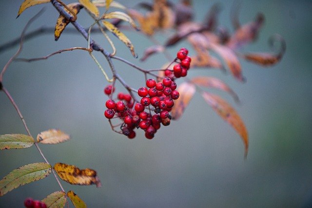 물 마시기의 중요성과 꾸준한 관리법 1. 물 섭취의 중요성: 올바른 수분 섭취가 핵심 요소이다