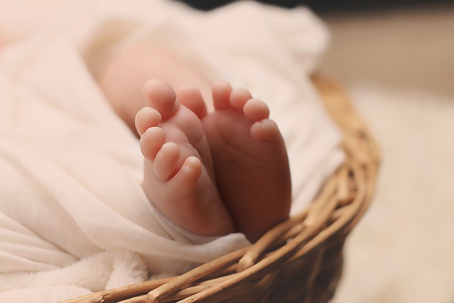 건강한 식습관을 만들기 위한 플래너 4. 다양한 식재료를 활용한 한 주간의 식단 다이어트 플래너 만들기